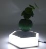 Resin magnetic flying air bonsai pots with led light