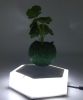 Resin magnetic flying air bonsai pots with led light