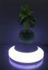 magnetic floating live bonsai tree with led light 0-300g