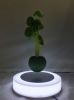 Plastic base magnetic floating air bonsai plant with led light