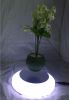 magnetic floating live bonsai tree with led light 0-300g