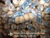 New Crop Chinese 5.5cm Pure White Fresh Garlic Small Packing In Mesh Bag