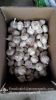 Jinxiang Shandong Fresh Normal White Garlic Loose Packing in Carton Box(4.5, 5.0, 5.5, 6.0cm)