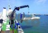 OUCO Marine/Offshore Small Provision Crane Electric Hydraulic Crane Machine