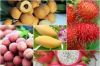 fresh fruit, dried fruit, canned fruit, vegetable, Dragon fruit, lemon, lime, banana, coconut, banana, rambutan