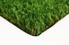 ARTIFICIAL GRASS