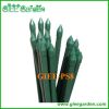 Eco Garden Stake for plant