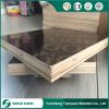 Finger Joint Core/Recycle Film Faced Plywood