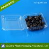 China Suppliers Disposable Food Grade Plastic Transparent Buleberry Container