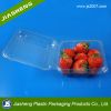 China Suppliers Disposable Food Grade Plastic Transparent Buleberry Container