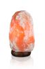 Premium Natural Himalayan Salt Lamp w/ Dimmer Cord 2-3 KG US Stock