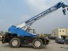 Used Tadano GR250N Wheel Crane