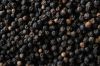 Black Pepper and White Pepper Seeds