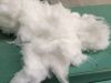 polyester staple fiber...