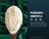 PURE NATURAL PUERARIA MIRIFICA  HERB POWDER EXTRACT ( PREMIUM GRADE )