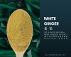 PURE NATURAL WHITE GINGER ( GALANGAL ) HERB POWDER EXTRACT ( PREMIUM GRADE )