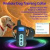 RDT800 remote dog trai...