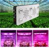 BrightSun BR690 LED Grow Light Glass Optical Lens 12-Band Full Spectrum Seedling/Veg/Flower Dimmable 1000W LED Growlight