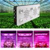 BrightSun Full Spectrum LED COB Grow Light Dimmable 850w UV IR For Hydroponics Greenhouse indoor Plant Seedling/Veg /Flower