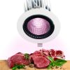 35W Rotatable COB Led Downlight with Pink Lighting for Supermarket/Butcher