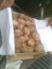fresh white truffle
