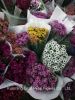 Best Gifts Wholsales Fresh Cut Flower Spray Chrysanthemum