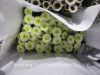 Best Gifts Wholsales Fresh Cut Flower Spray Chrysanthemum