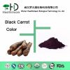 Black Carrot color