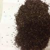 Black Pepper
