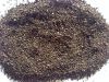 Black Pepper