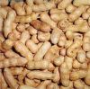 Cashew nuts, Peanuts