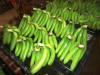 Fresh Banana