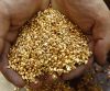 Gold,Gold Bars,Gold Dust, Gold Nuggets For Sale