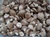 fresh shiitake mushrooms,Sliced Champignon Mushroom, woodmushrooms etc.. 