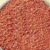 Good Quality Sorghum