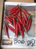 Fresh Red Chillies