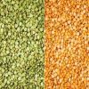 Red Lentils / Green Le...
