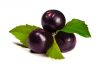Purple Berry Organic acai