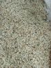 SESAME SEEDS