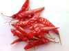 Dundicut Whole Chilli,...