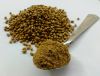 Best Quality Coriander...