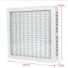 TOP RANK 28mil Double-chip 2000W full spectrum led grow light