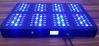 960W Neptune 8 WIFI Control 5W Chips Led grow light for Greenhouse