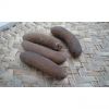 Dry Sea Cucumber available for sale 