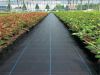 PP Ground Cover | wove...