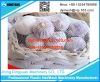 Plastic Packing Net Machine