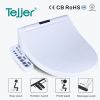 sensor auto flush elde...
