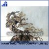 Bonsai Driftwood Supplier For Aquariums