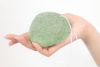 Konjac Sponge - 100% Natural and Made in Japan