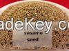 Sesame Seeds Fresh and...